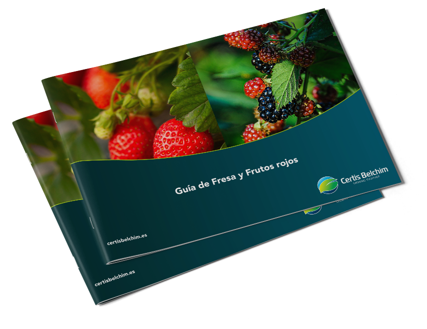 Guía Fresas y Frutos Rojos