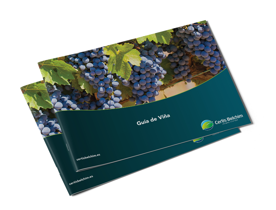 Guía Viña