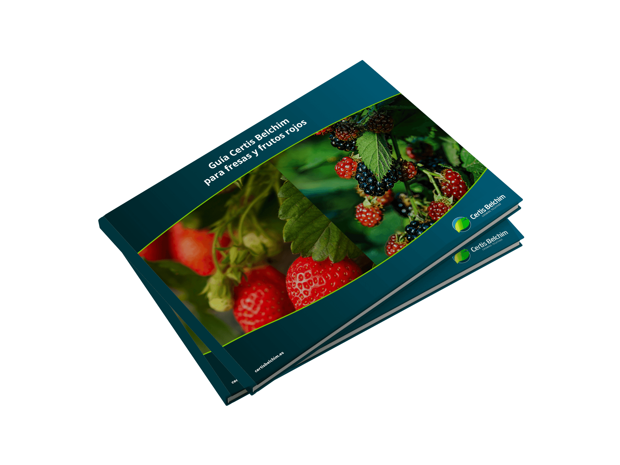 Guía Fresas y Frutos Rojos
