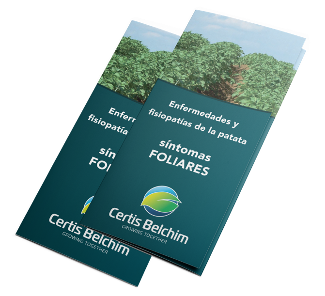 guia enfermedades patata